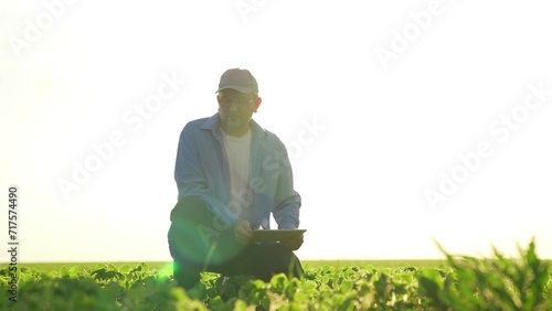senior farmer with tablet inspects corn wheat field. agricultural fresh sprouts field. farmer agronomist engineer with digital tablet. modern farm.industry organic growth sprout. Agriculture