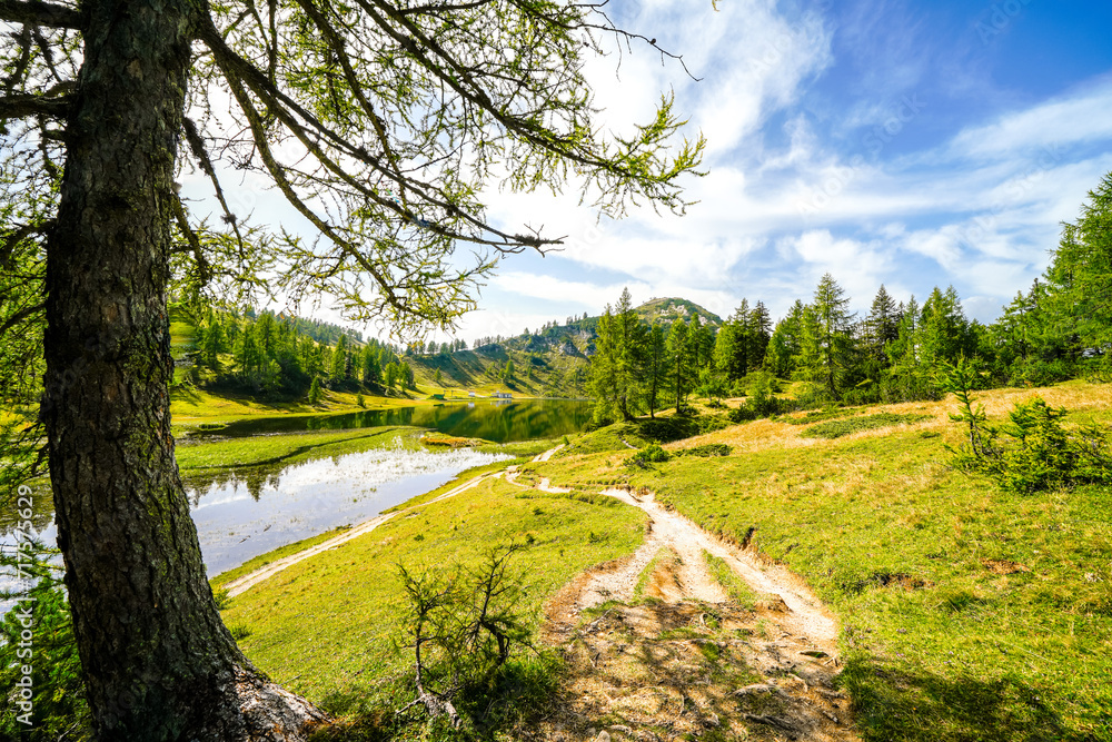 Nature on the high plateau of the Tauplitzalm. View of the landscape at the Toten Gebirge in Styria. Idyllic surroundings with mountains and green nature on the Tauplitz in Austria.
Nature on the high plateau of the Tauplitzalm. View of the landscape at the Toten Gebirge in Styria. Idyllic surroundings with mountains and green nature on the Tauplitz in Austria.
