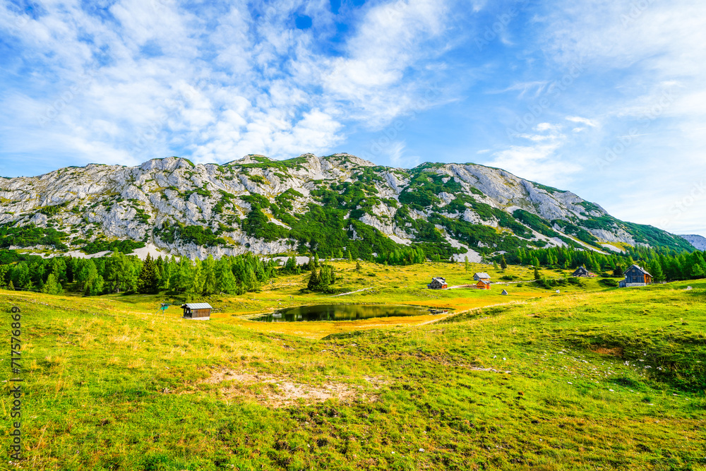 Nature on the high plateau of the Tauplitzalm. View of the landscape at the Toten Gebirge in Styria. Idyllic surroundings with mountains and green nature on the Tauplitz in Austria.
