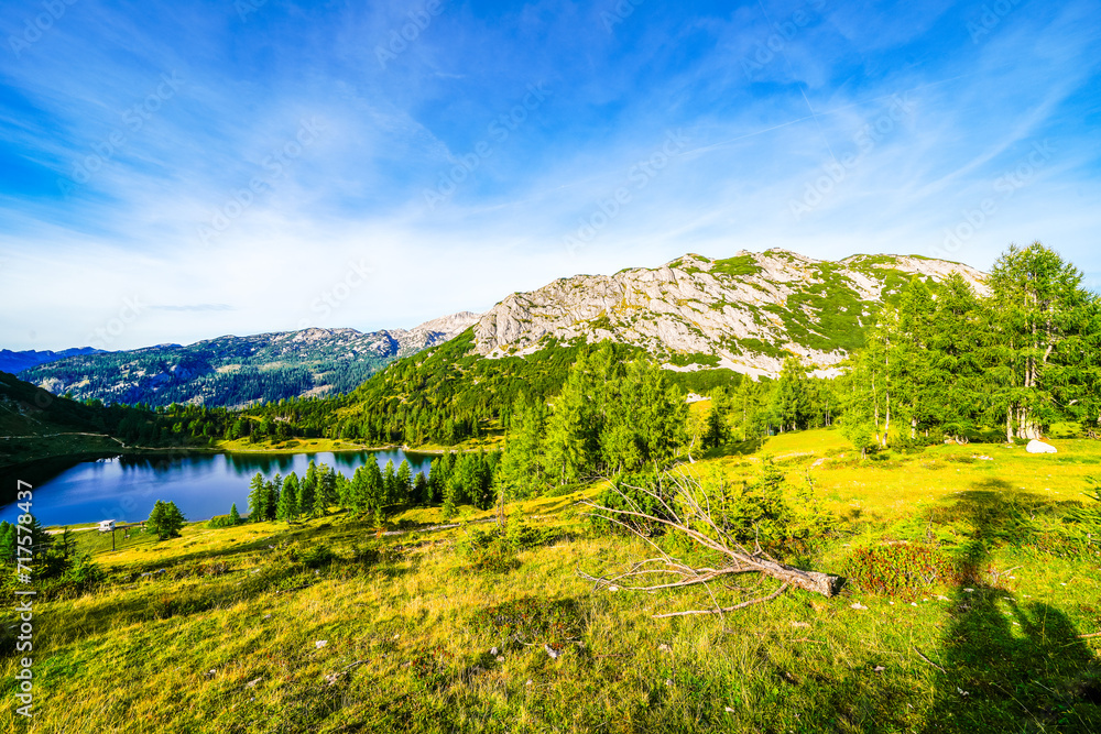 Obraz premium Nature on the high plateau of the Tauplitzalm. View of the landscape at the Toten Gebirge in Styria. Idyllic surroundings with mountains and green nature on the Tauplitz in Austria. 
