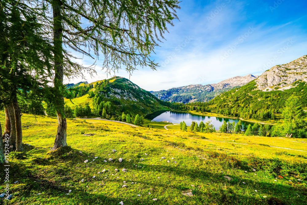 Nature on the high plateau of the Tauplitzalm. View of the landscape at the Toten Gebirge in Styria. Idyllic surroundings with mountains and green nature on the Tauplitz in Austria.
