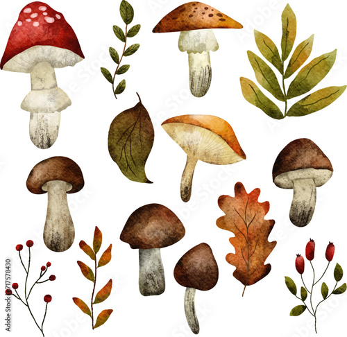 set of autumn mushrooms