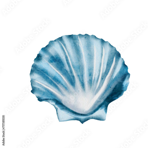 Watercolor shell. Hand drawn illustration of a clam on an isolated background. Drawing of sea blue ocean shell for badge or logo. Marine and ocean fauna. Underwater life.