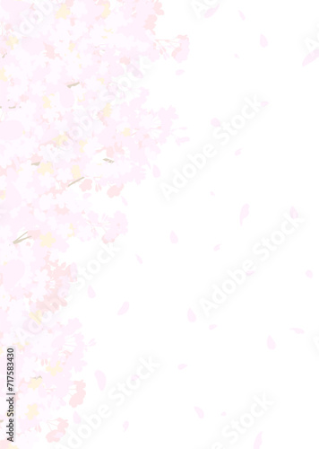 ふわふわした桜