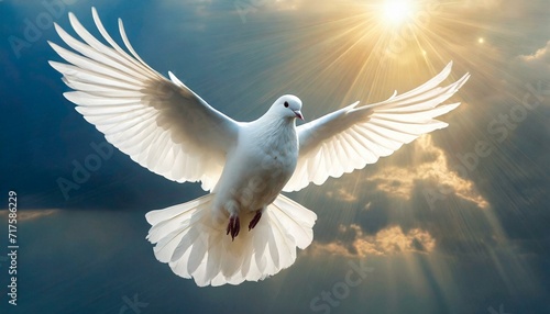 Photographie Majestic White Dove, a Symbol of Peace and the Holy Spirit