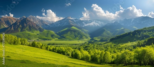 In the spring, there is a picturesque sight of a green valley, mountains, forests, and a blue sky.