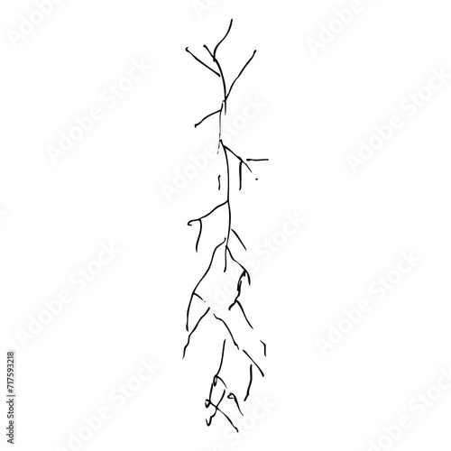 crack, simple vector hand draw sketch doodle, isolated on white