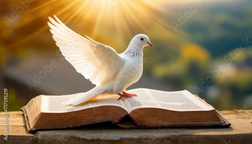 Dove Resting on an Open Bible, Holy Spirit, Baptism. 