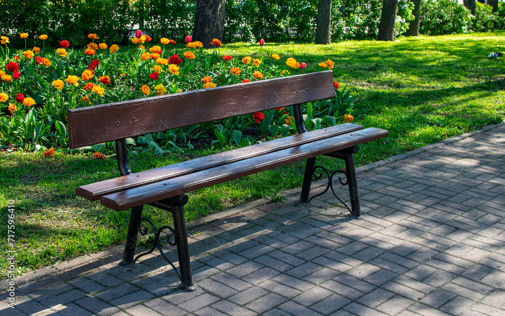 Wooden bench in the park against a background of flowers. Wooden bench in the park against a background of flowers.