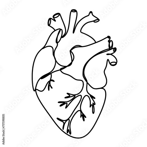 Anatomical human heart single continuous line art