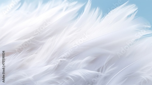 Elegant soft white feathers texture, detailed and light against a blue background. © tashechka