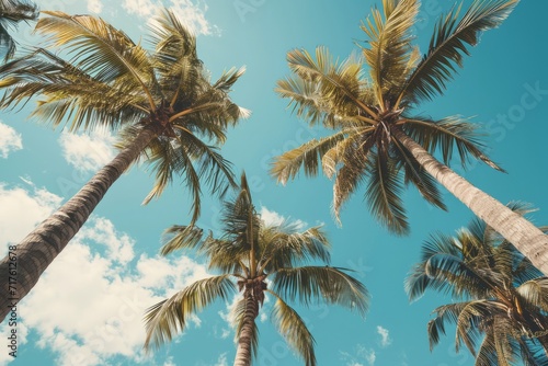 Tropical palm trees against a clear blue sky with fluffy clouds, conveying a serene summer vibe.