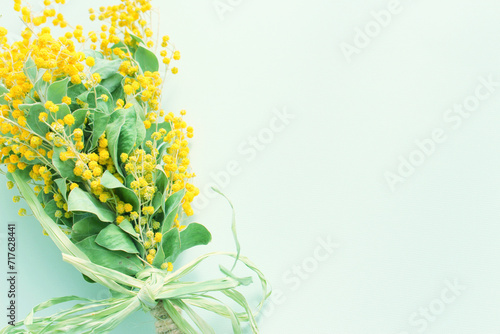 ミモザの花 photo