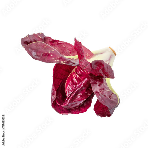 Variegated radicchio from Verona photo