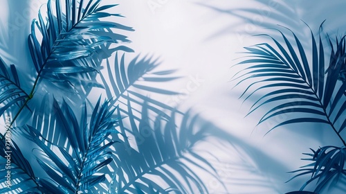 Neon tropical palm leaves shadow on white background