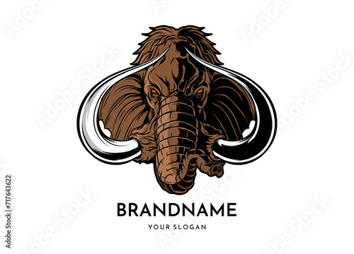 Mammoth head face logo vector
