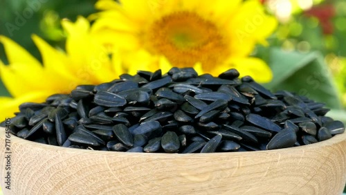 Roasted Sunflower Seeds Close-up Rotate in wooden bowl on plants background and sunflower Harvesting Sunflower Unpeeled Seeds, Healthy Source of Vitamins in Vegan Food. Raw Materials for Sunflower Oil