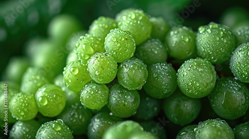 A cluster of fresh green grapes, an artistic arrangement for aesthetic appeal. Grapes background. © pengedarseni
