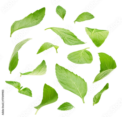 Peppermint leaves isolated