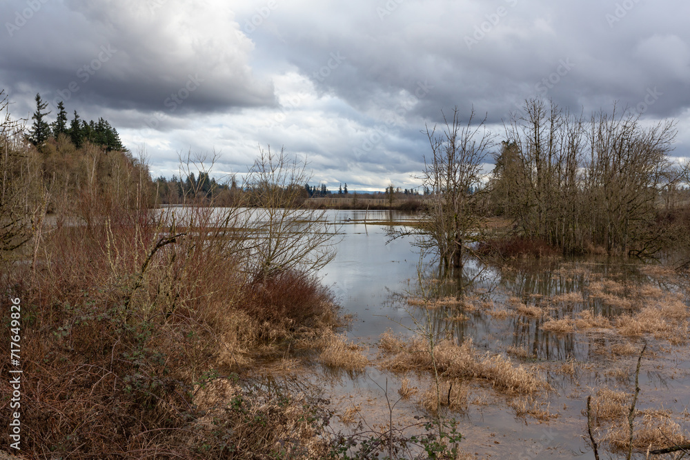 Oregon landscape during flood