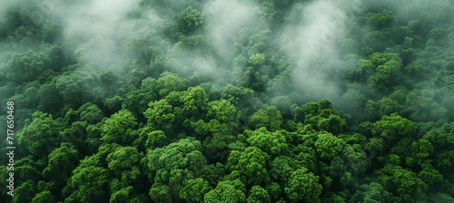 Aerial view misty rainforest. Generative AI technology. 