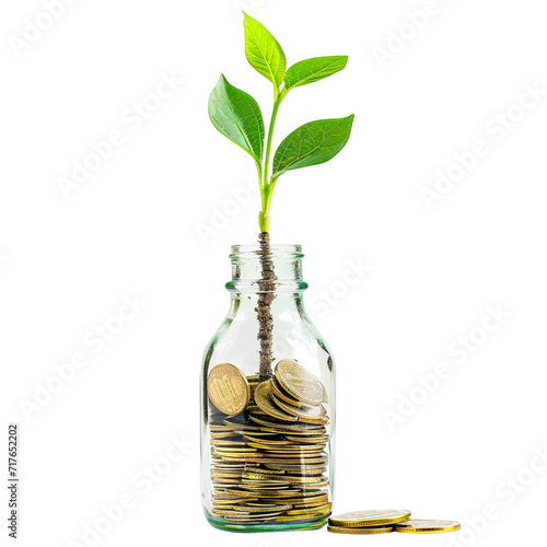 young plant with gold coins in a glass bottle on transparent background, saving money