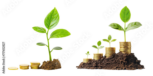 set of young plant with stack of gold coins on transparent background, investment