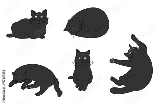 色々なポーズの猫たち（黒猫）