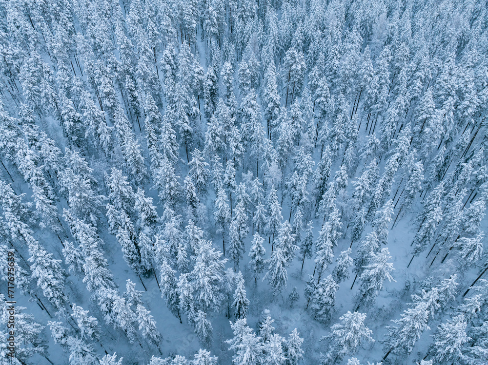 Fototapeta premium Aerial view of beautiful winter landscape in Lapland during sunset.