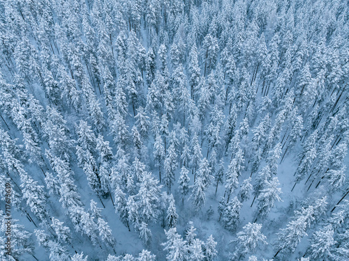 Aerial view of beautiful winter landscape in Lapland during sunset.