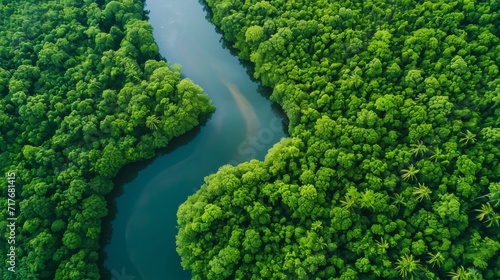 Aerial view of a winding river through a lush green forest background.