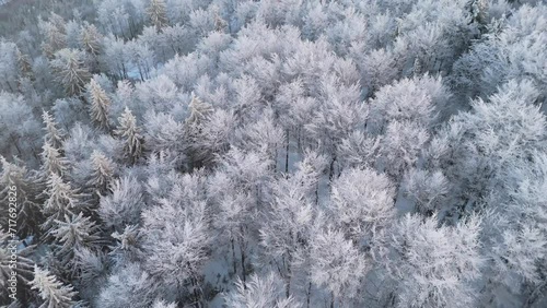Capturing the orange-tinted sunset over a mountain range, drone flies above the snowy, frost-bitten forest.