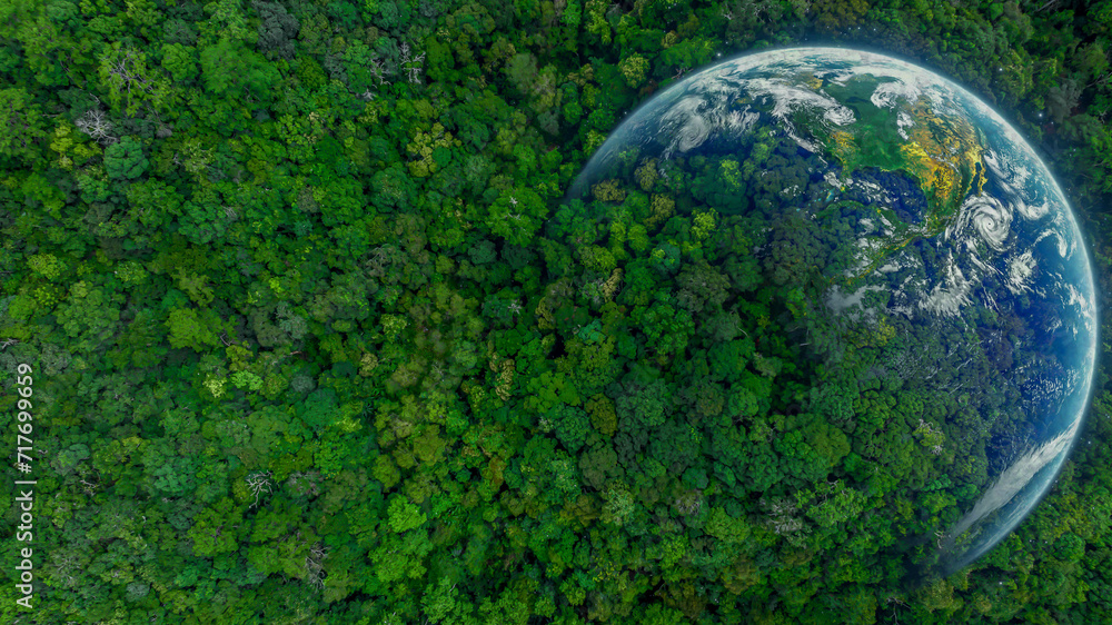 Aerial top view of green forest tree and global globe, Tropical rain forest tree ecosystem and healthy environment, Texture and background of green tree forest, Global warming save earth. - obrazy, fototapety, plakaty 