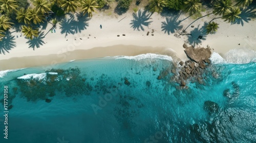 Aerial view of tropical beach with palm trees and clear blue water. Travel and vacation © Postproduction