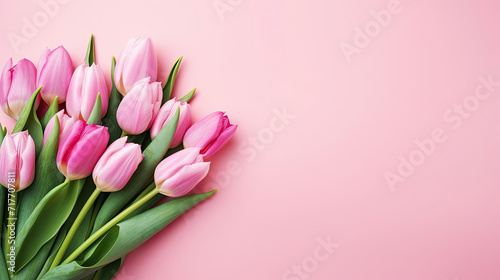 Pink Tulips Bouquet on Pink Background, Delicate and Beautiful Spring Flowers