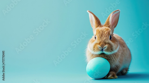 Rabbit Holding Blue Ball on Blue Background, Cute Animal Picture © Piotr