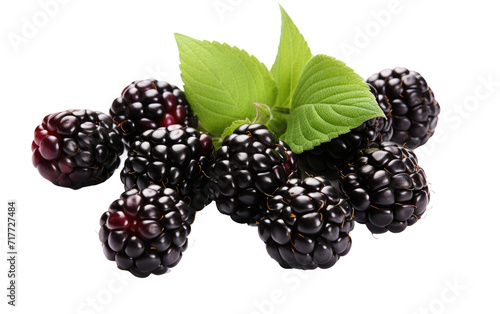 Juicy Fresh Blackberries on Transparent Background