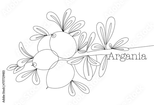 Fetus. Argan. Branch. One line.