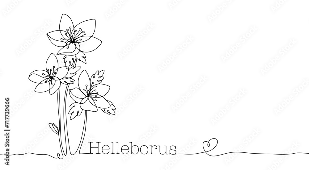 Narcissus. Primrose. One line. Botanical Narcissus. Primrose. One line. Botanical