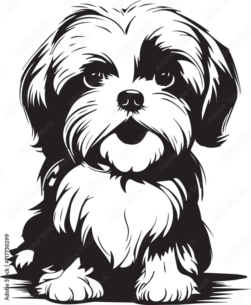 cute shih tzu puppy dog silhouette cute shih tzu puppy dog silhouette