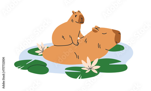 Cute capybara family. Funny mother and baby cub capibaras. Happy capy animal characters, mom and kid, bathing, swimming, relaxing in water. Flat vector illustration isolated on white background