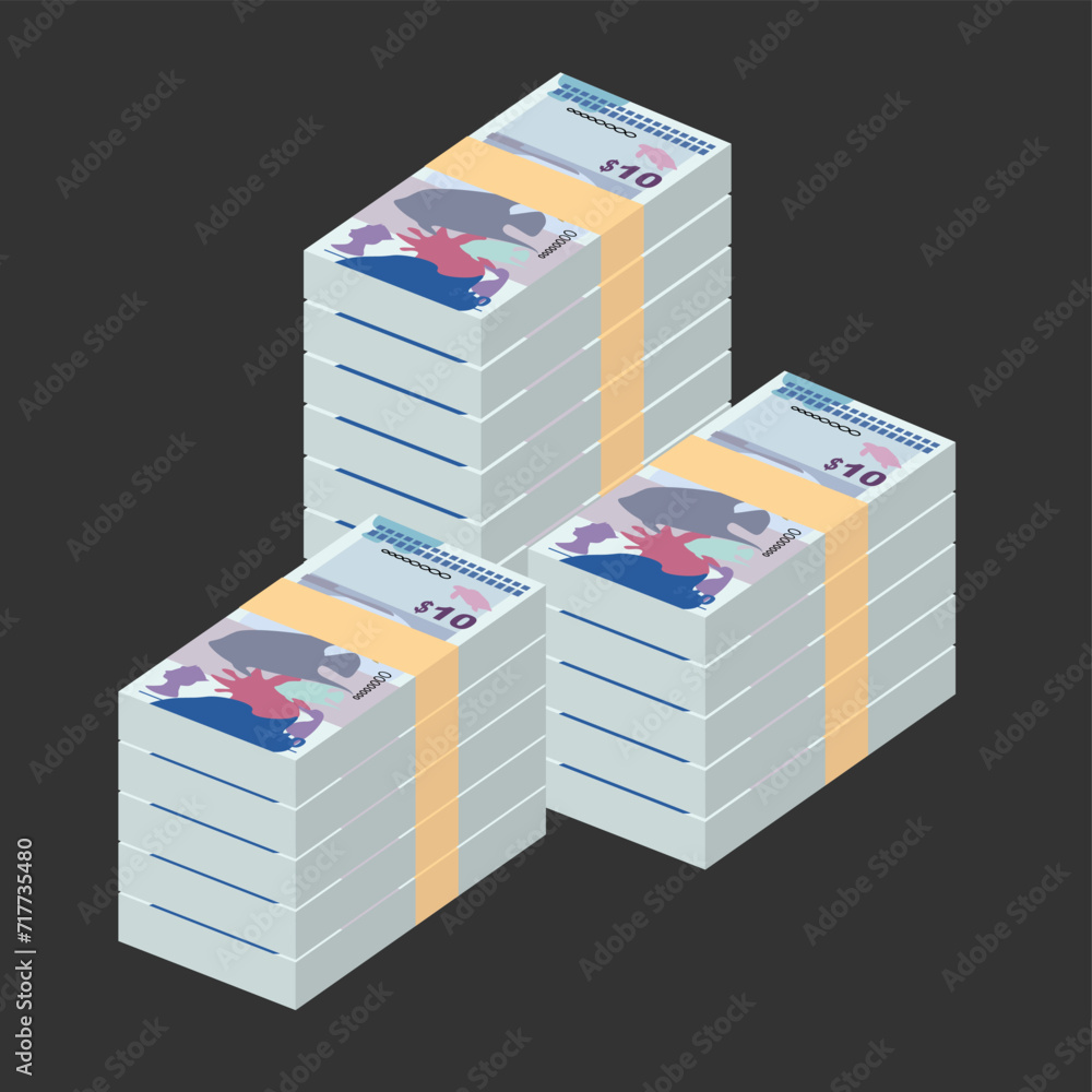 Bermudian Dollar Vector Illustration. Bermuda money set bundle banknotes. Paper money 10 BMD. Flat style. Isolated on white background. Simple minimal design. Bermudian Dollar Vector Illustration. Bermuda money set bundle banknotes. Paper money 10 BMD. Flat style. Isolated on white background. Simple minimal design.
