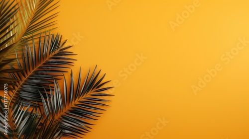 Majestic Palm Tree Vibrantly Stands Out Against a Luminous Yellow Background. Copy space, banner.