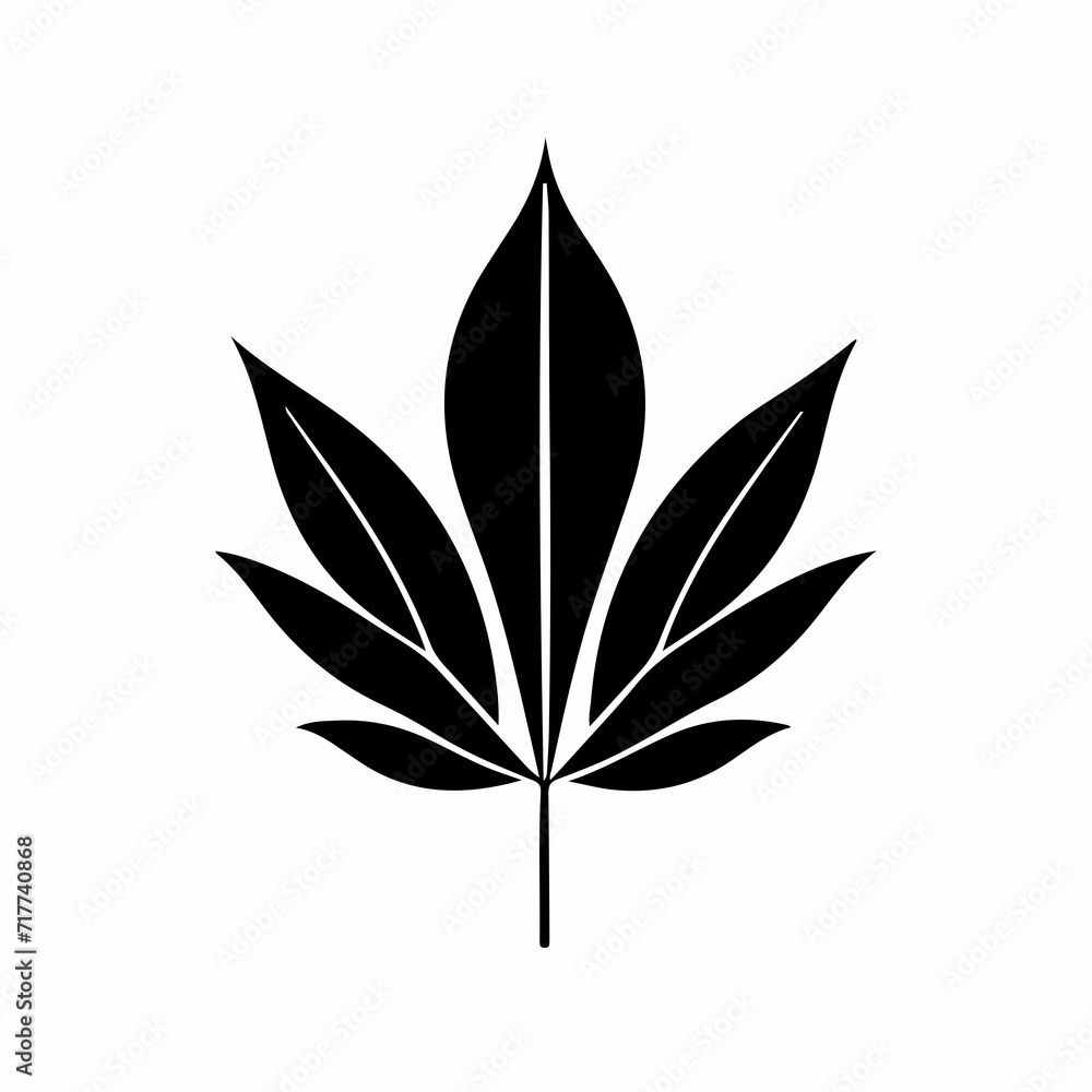 black and white leaf black and white leaf