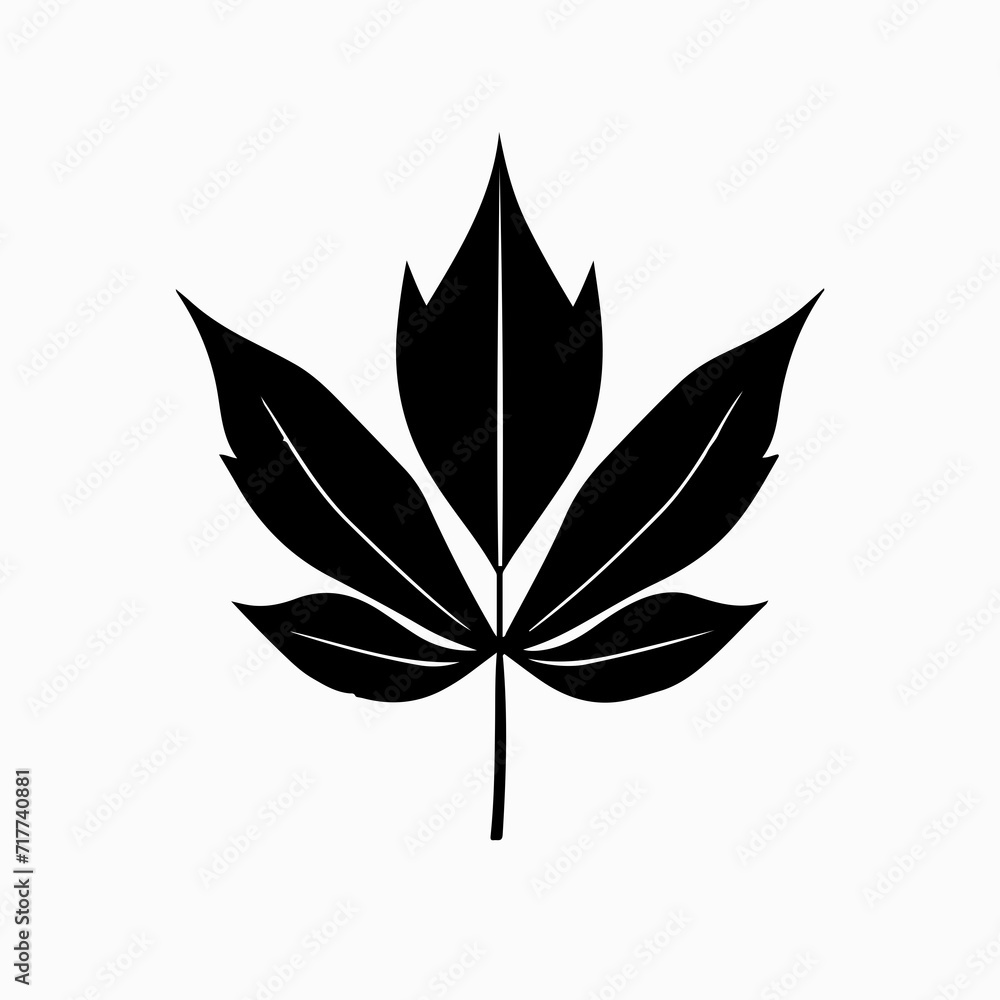 silhouette of a leaf silhouette of a leaf