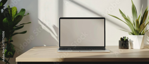 Minimalist home office setup with an open laptop and fresh green plants basking in the serene afternoon light © Ai Studio