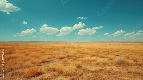 A vast, arid landscape stretches under a clear sky with fluffy white clouds, showcasing the vastness and solitude of the desert.