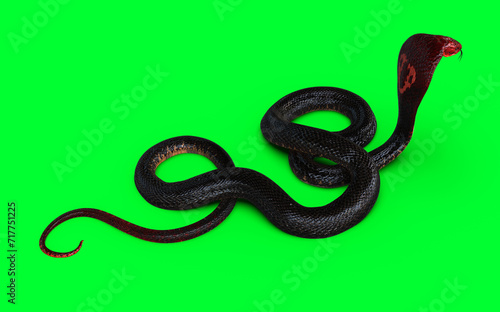 3d Illustration Red Head and Red tail of King Cobra the World's Longest Venomous Snake Isolated on Green Background, King Cobra Snake with Clipping Path.