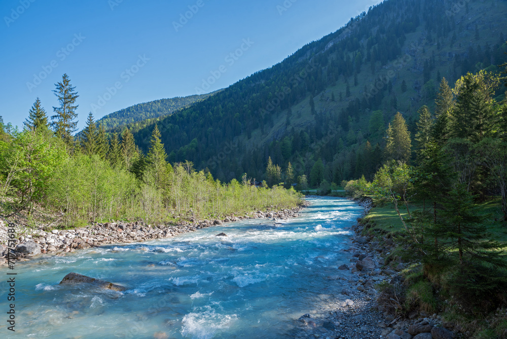 Rissbach river Hinterriss, with trees at the riverside, tyrolean landscape