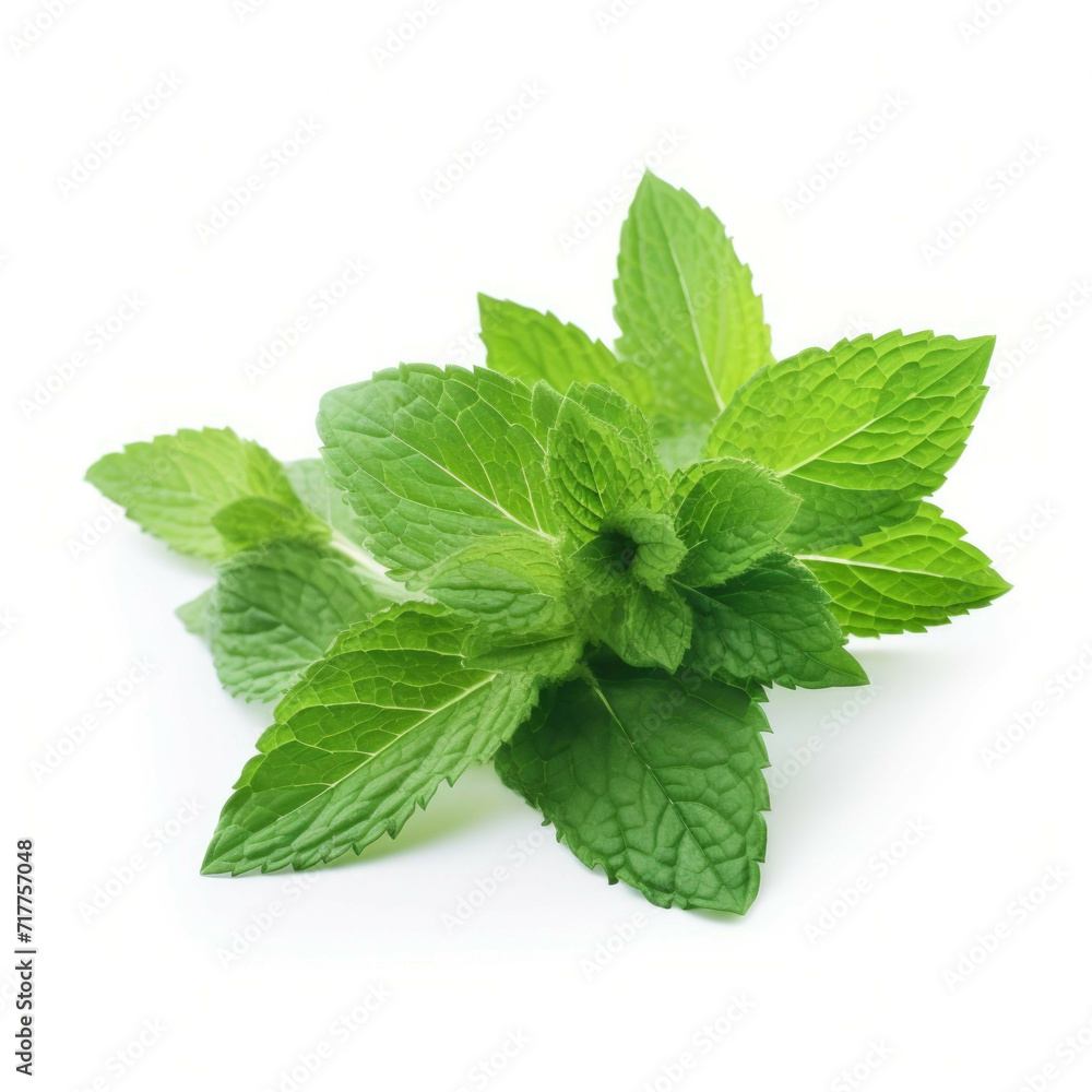 mint leaf bunch isolated on white background mint leaf bunch isolated on white background